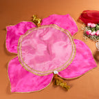 Elegant women’s ethnic wear by Pataaree with festive Punjabi styling.